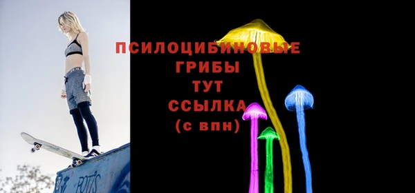 прущая мука Арсеньев