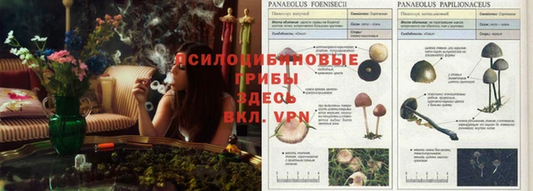 наркотики Аркадак
