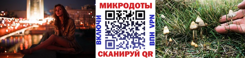 купить закладку  Сасово  Псилоцибиновые грибы Cubensis 